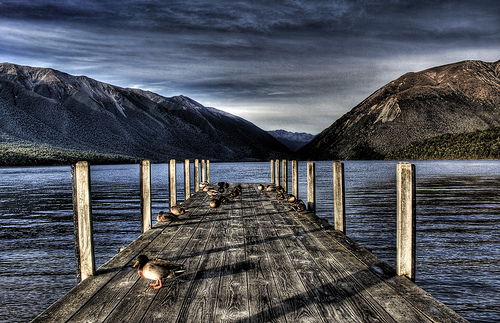 St Arnouds Lake - New Zealand